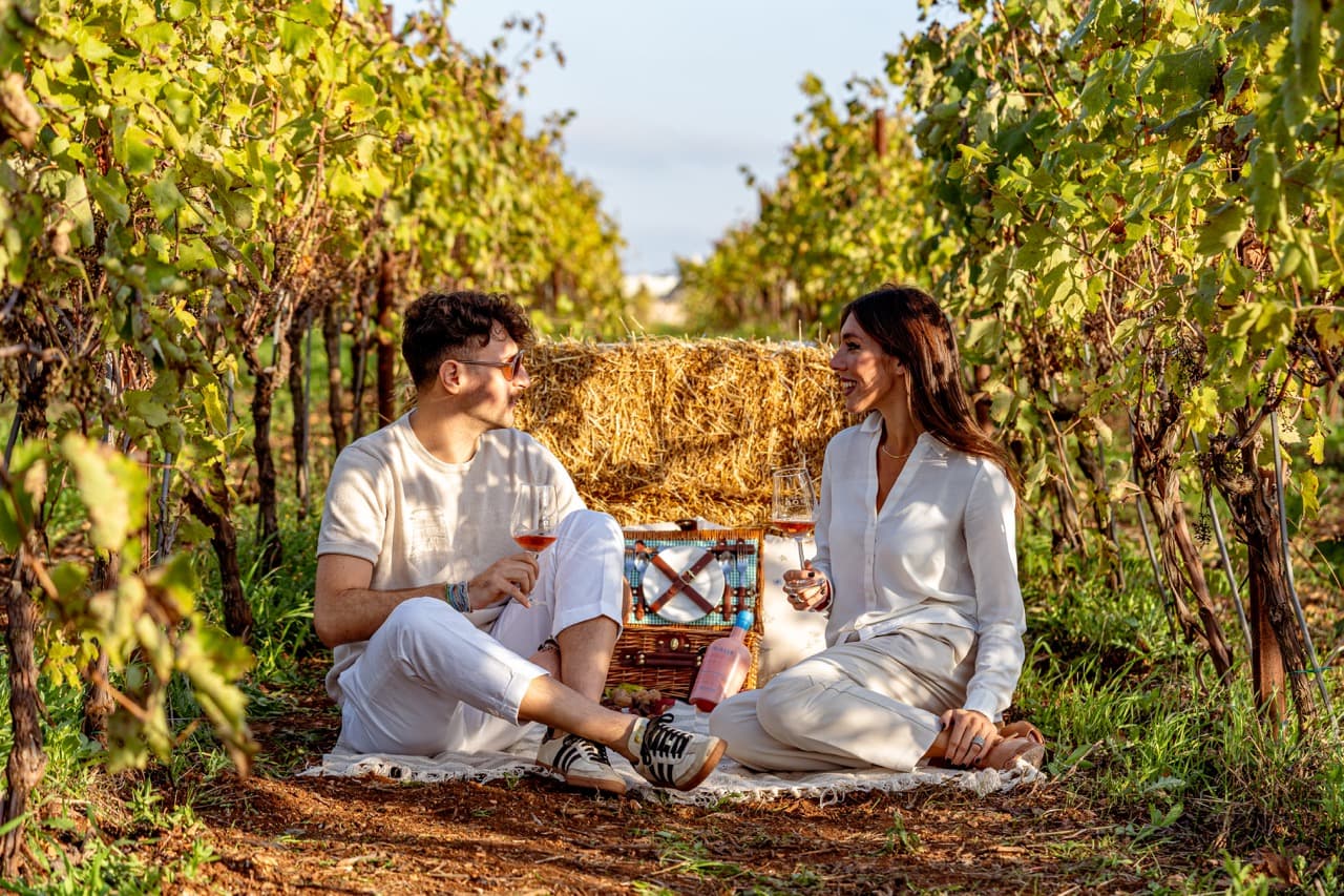 Un pique-nique dans le vignoble