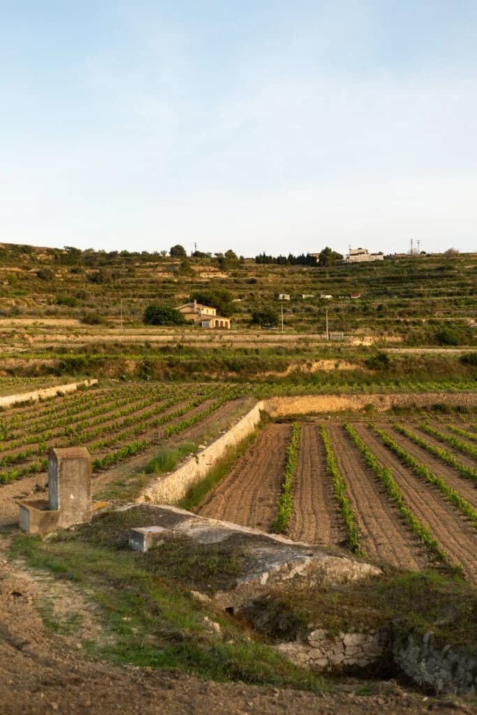 Montesanco Winery foto 3
