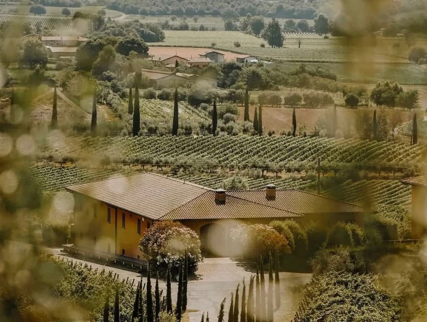 Monzio Compagnoni