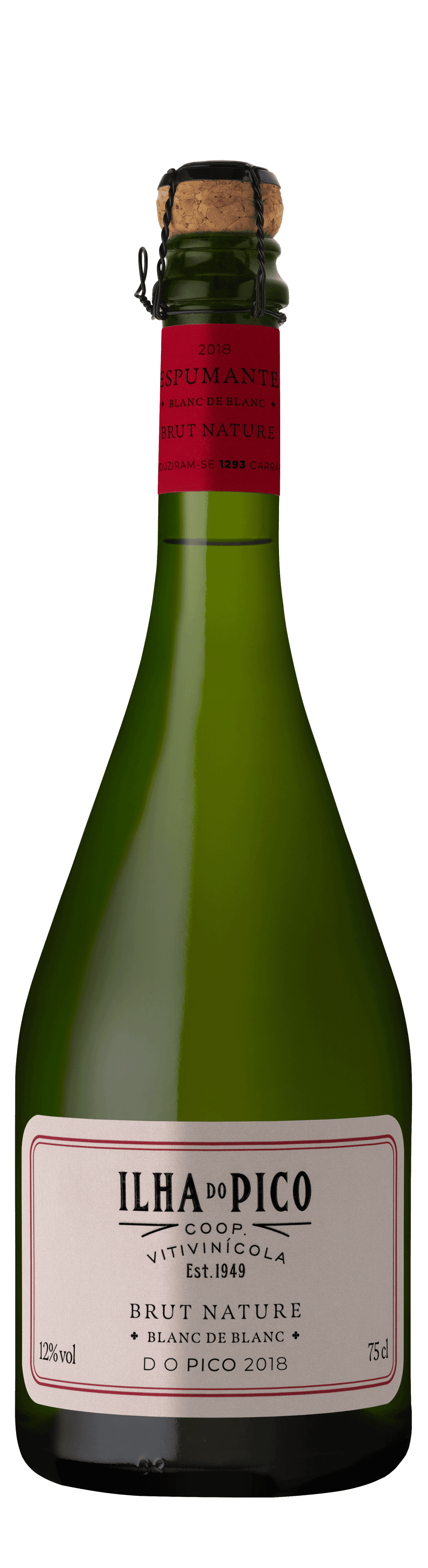 Sparkling Wine Brut Nature