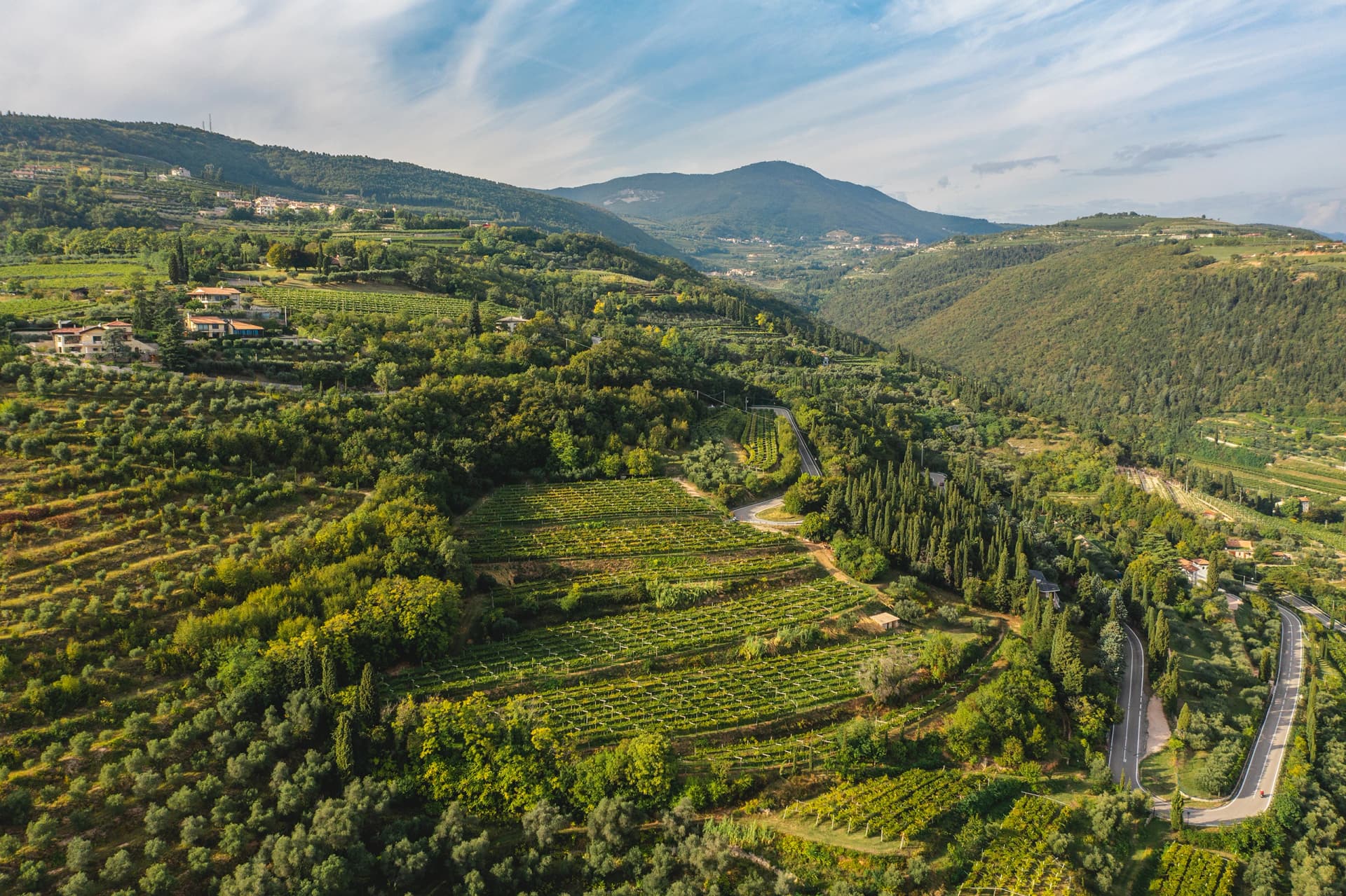 Scriani Winery