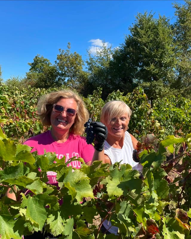 Teraboto Winery