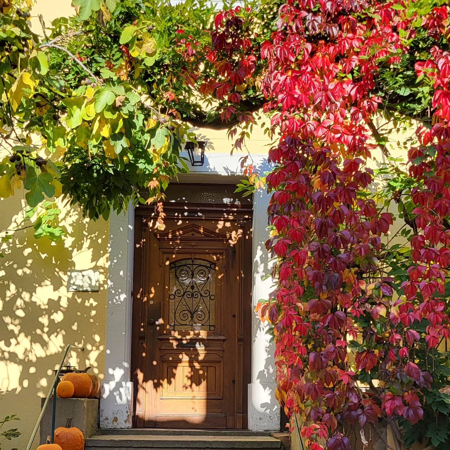 Weingut Heinrich Spindler foto 2