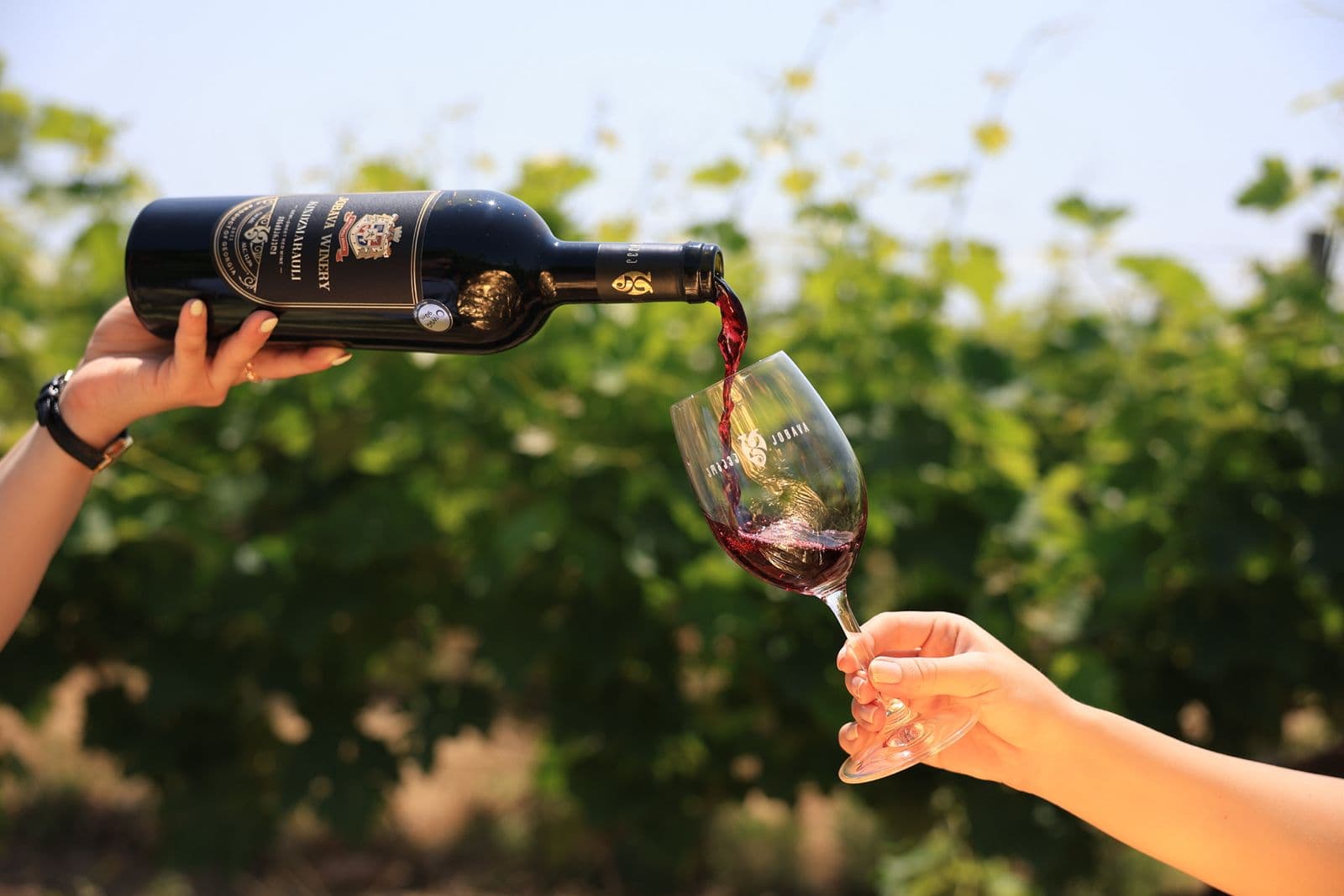 Weingut-Tour mit Wein- und Spirituosenprobe (4 klassische Weine I 2 Spirituosensorten)