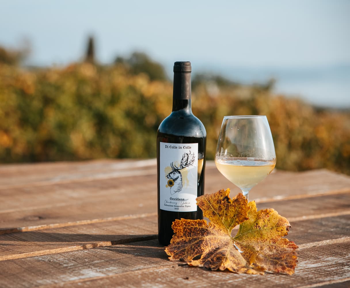 Wine tasting of Lake Trasimeno wine (1 glass) with local pairings at Cantina Di Colle