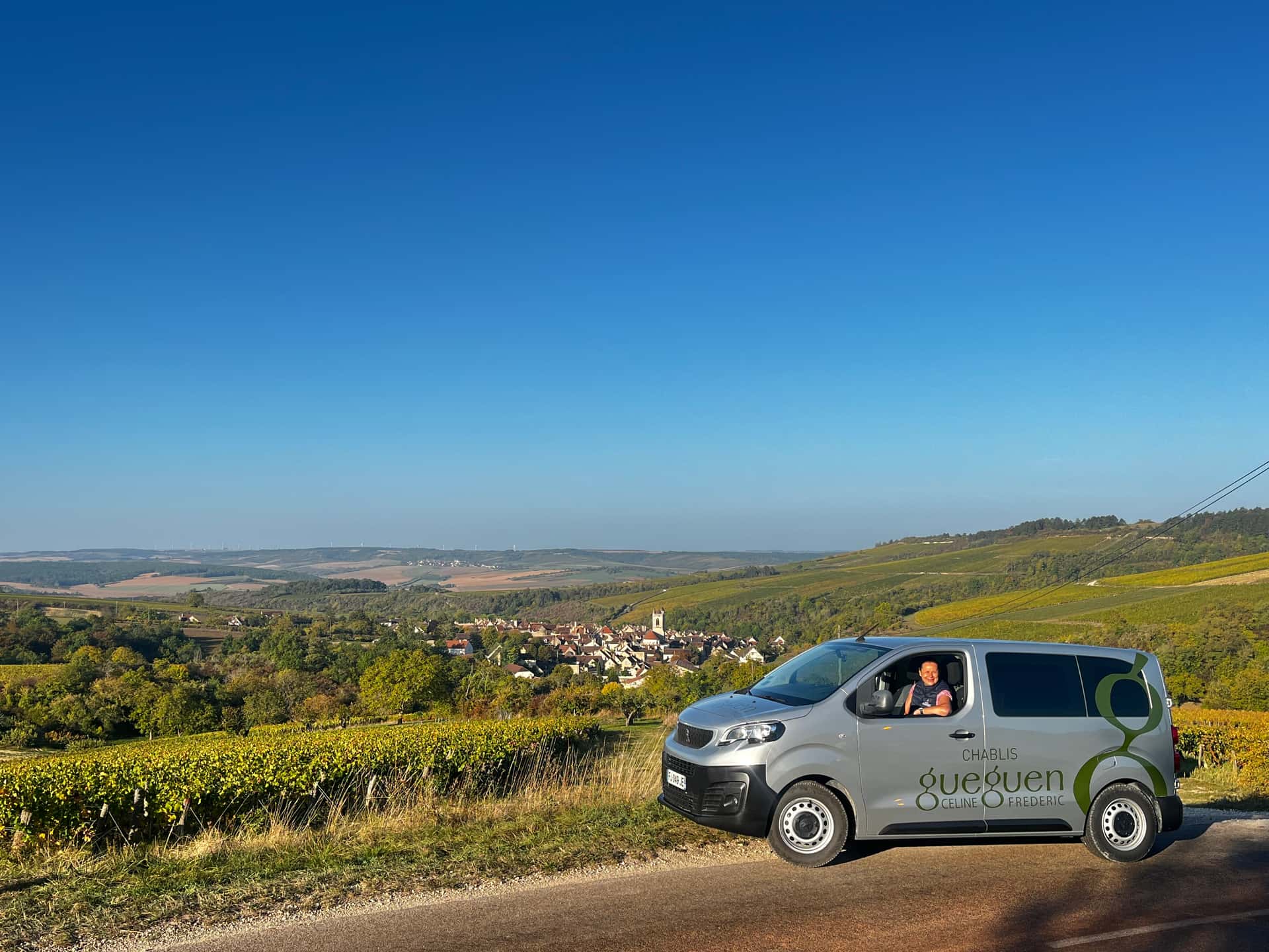 Vineyard Escape - Tour e degustação de vinhos no Domaine Celine…