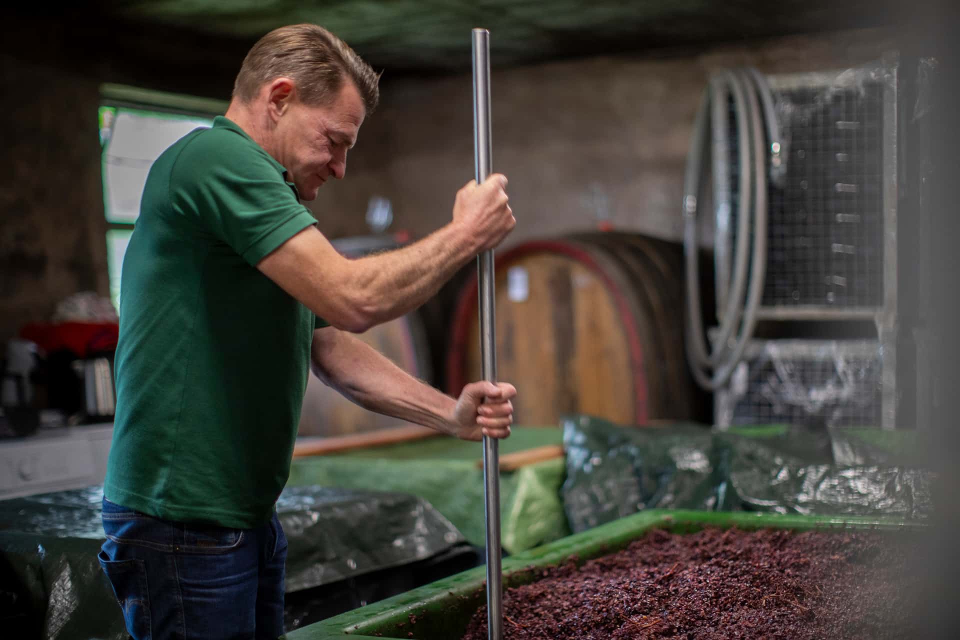 Weinprobe und Führung im Weingut Rinke / Rinke Weine