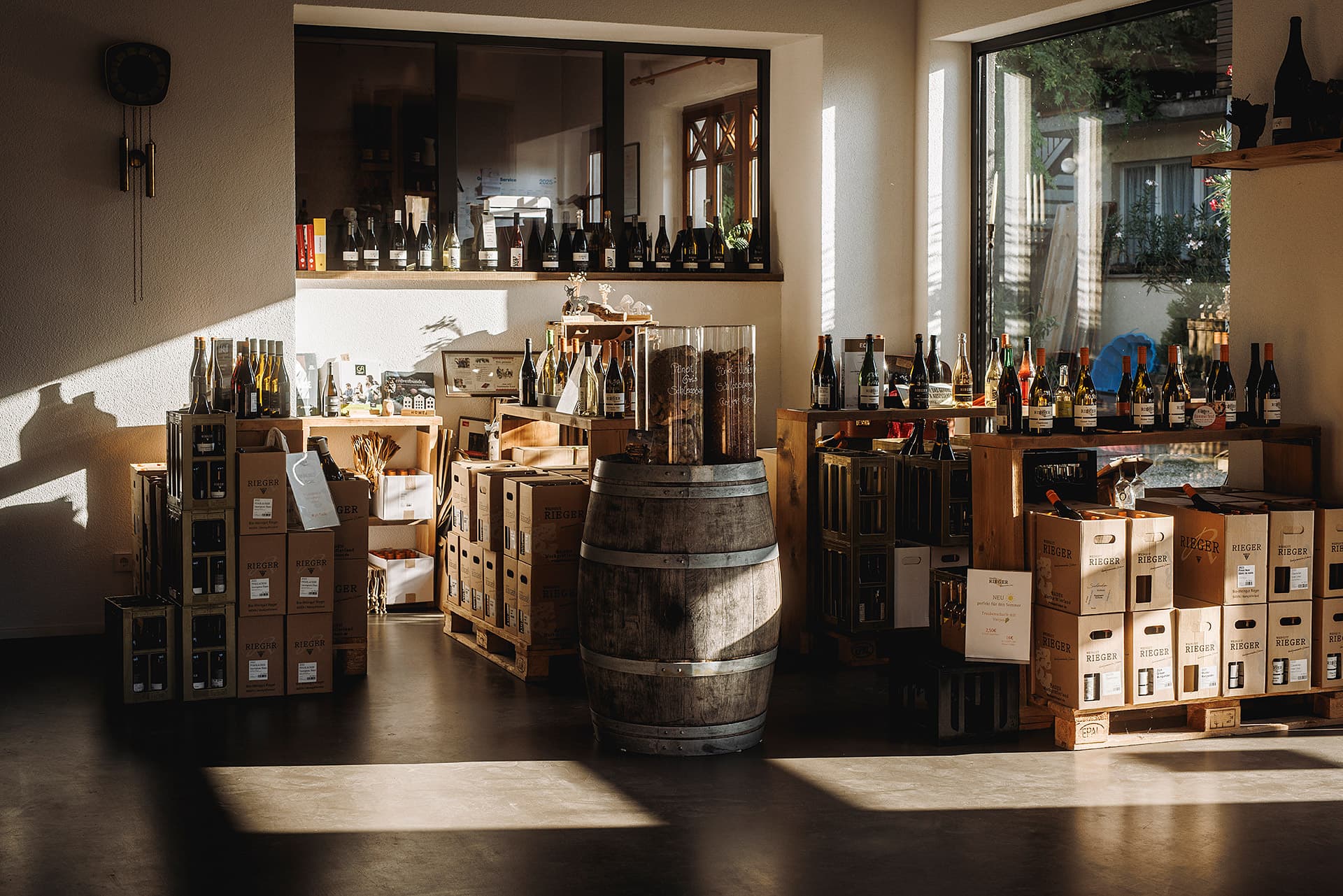 Cata de Vinos y Visita a Nuestros Viñedos Biodinámicos y/o Bodega