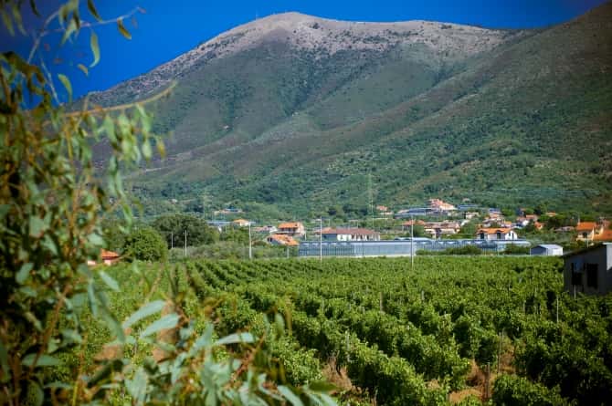 Agriturismo Torre Pernice