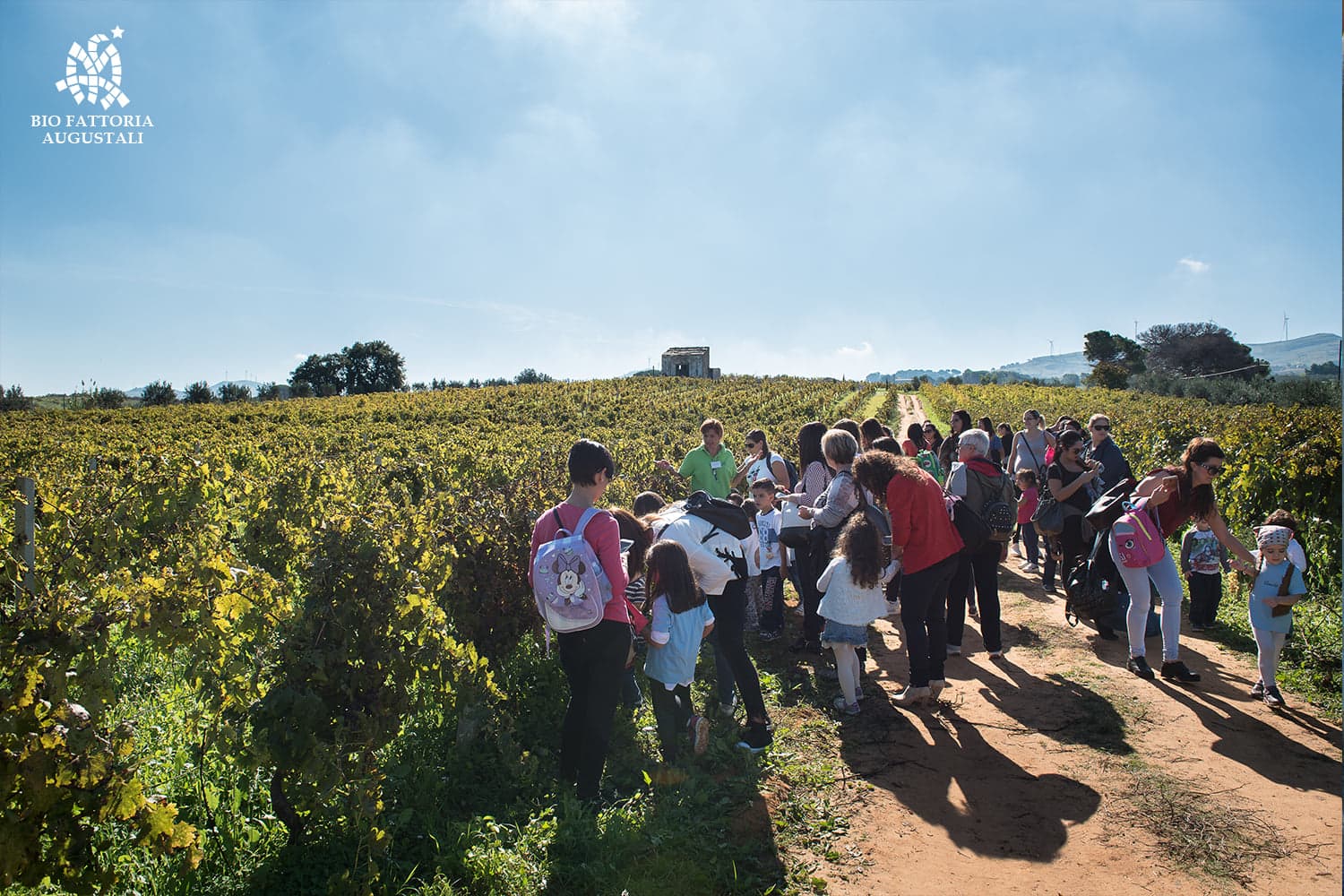 Augustali Winery Foto 5