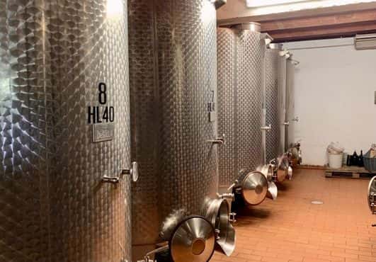 Discover Tuscan Vineyards & a 5-Wine Organic Tasting