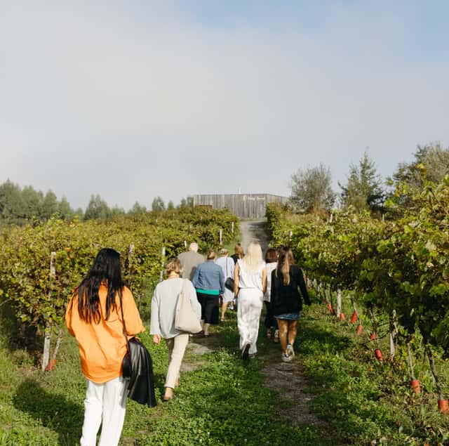 Bodega Berroja Winery