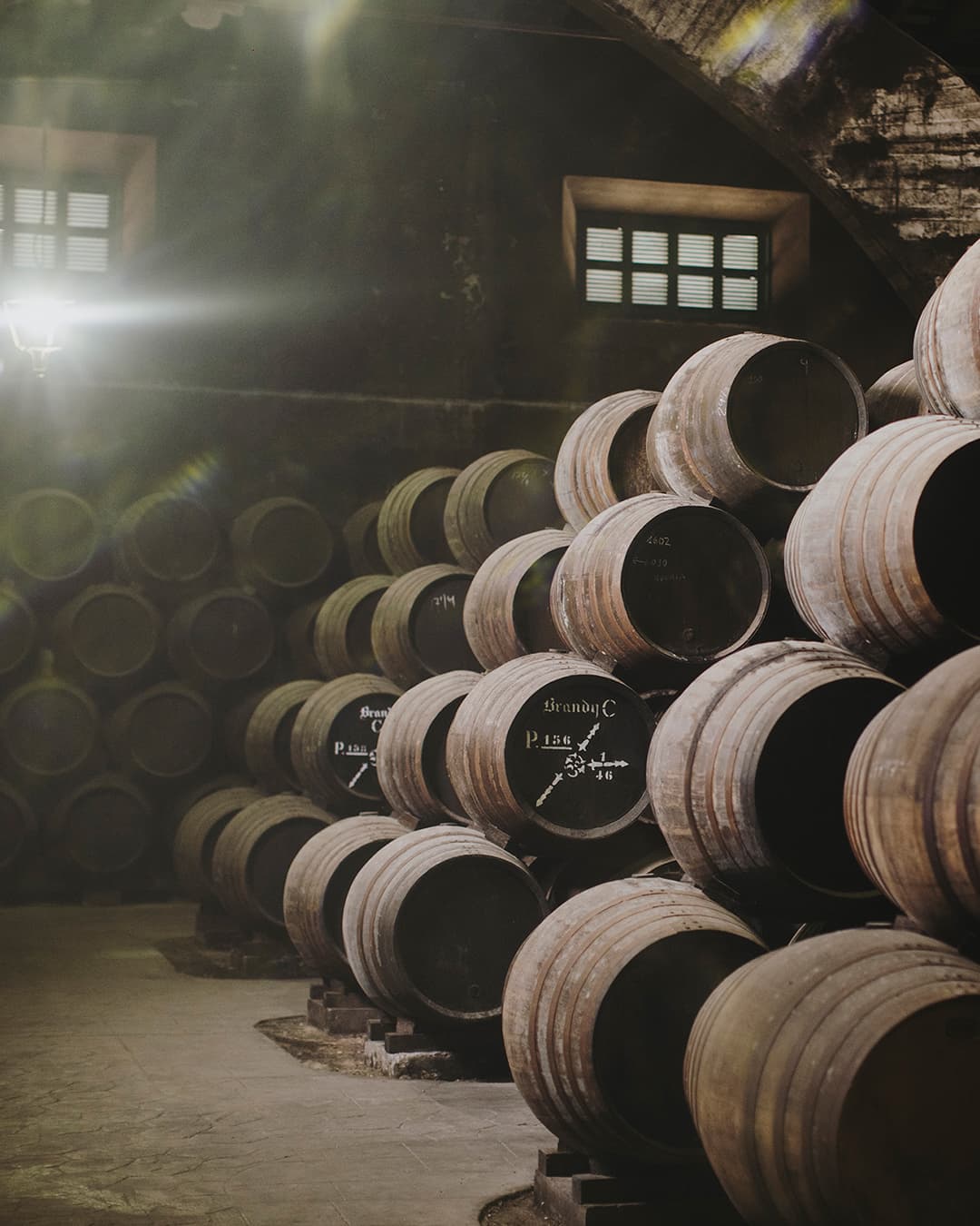 Bodega De Mora, Osborne Foto 4