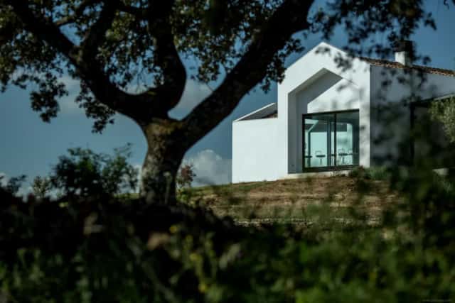 Bodega La Melonera