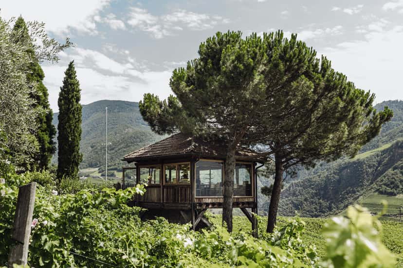 Browse all wineries in Alto Adige