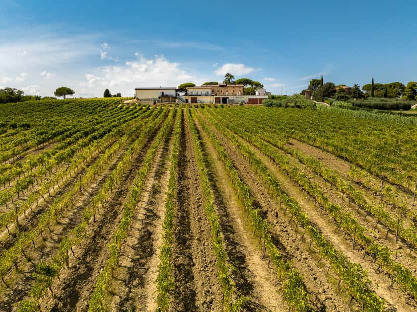 Chiorri Winery