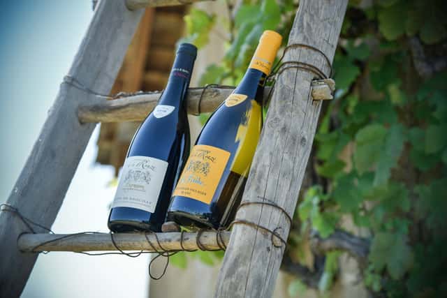 Domaine de la Ronze