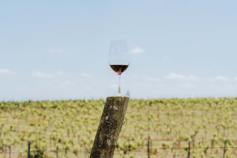 Quinta do Sampayo