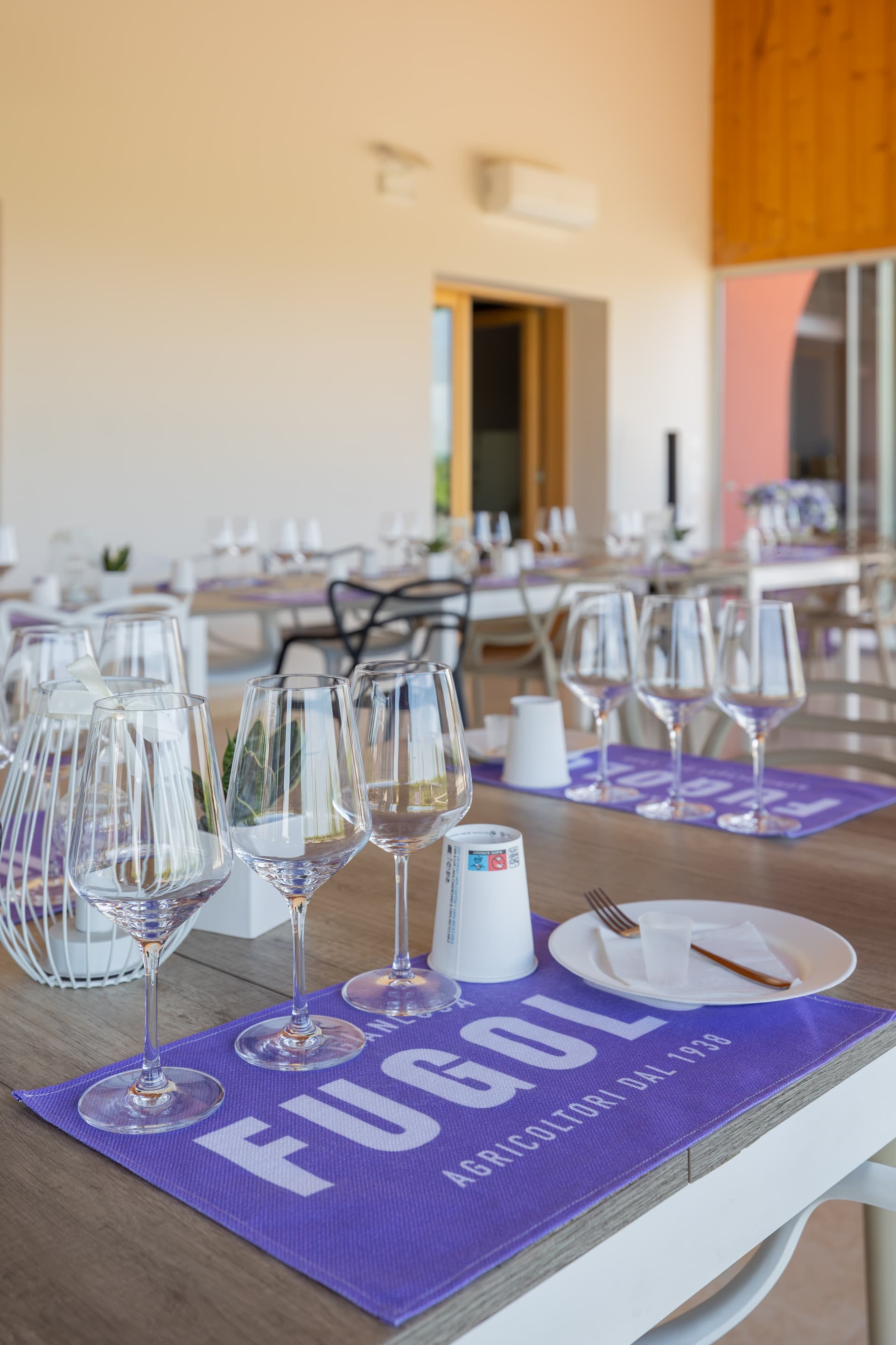 Enjoy a Light Lunch & Wine Tasting in Valpolicella