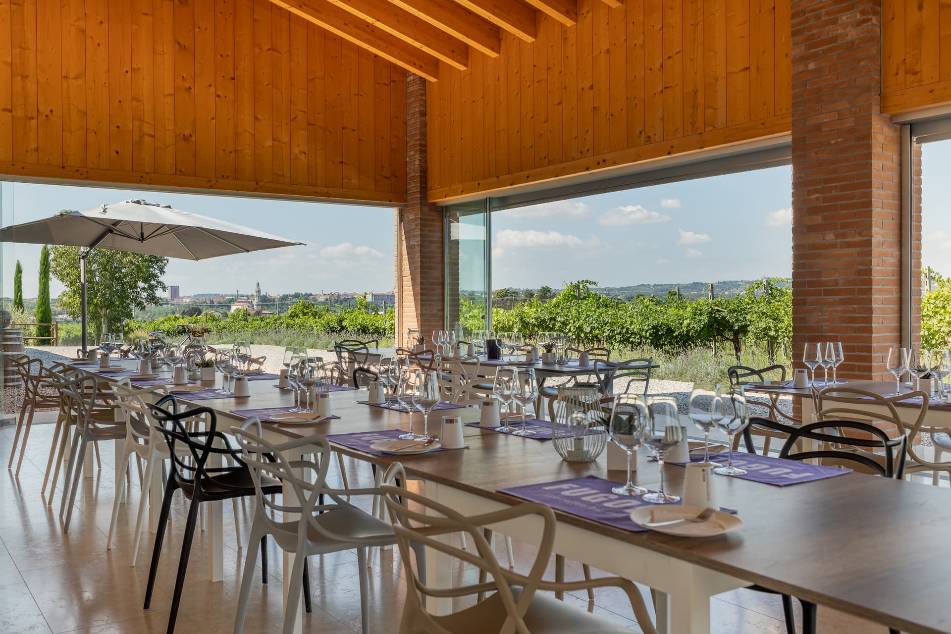 Veneto Vineyard Tour & Valpolicella Wine Tasting