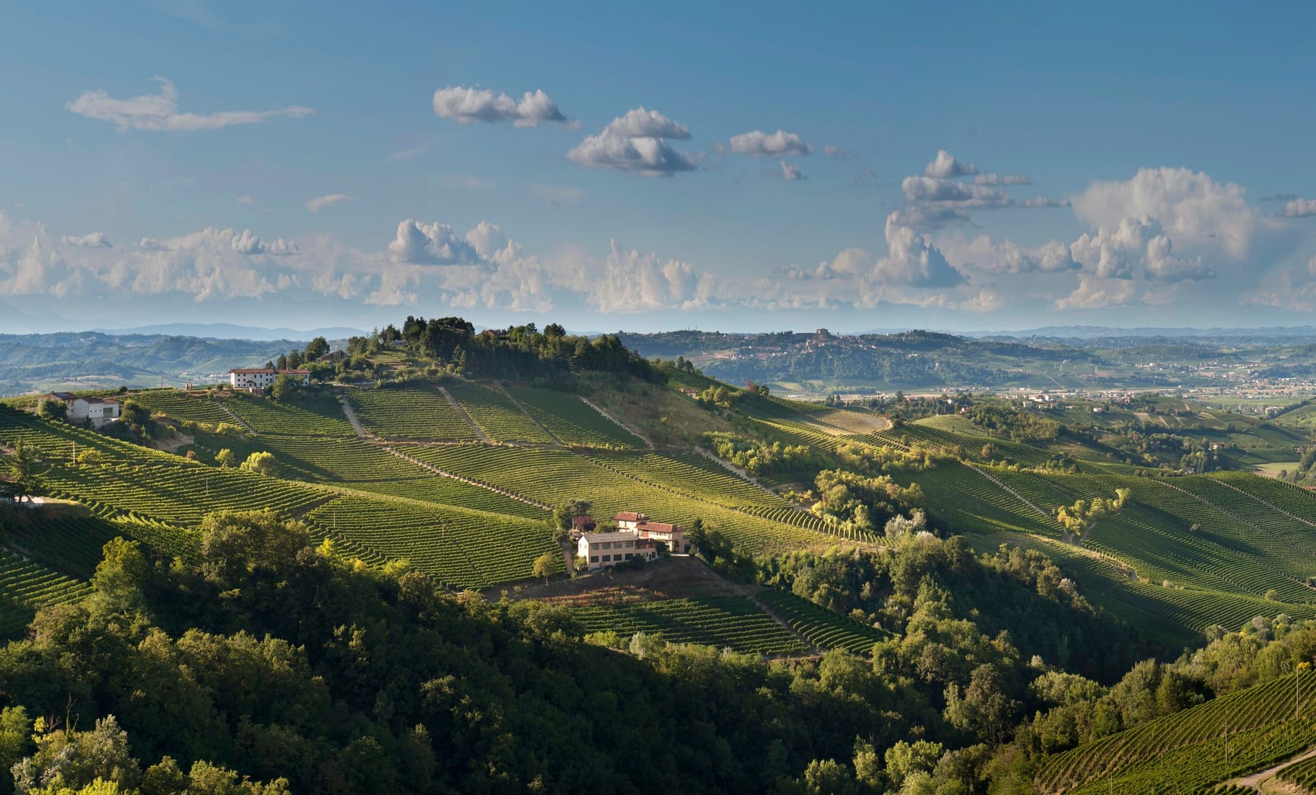 Giacosa Fratelli foto 5