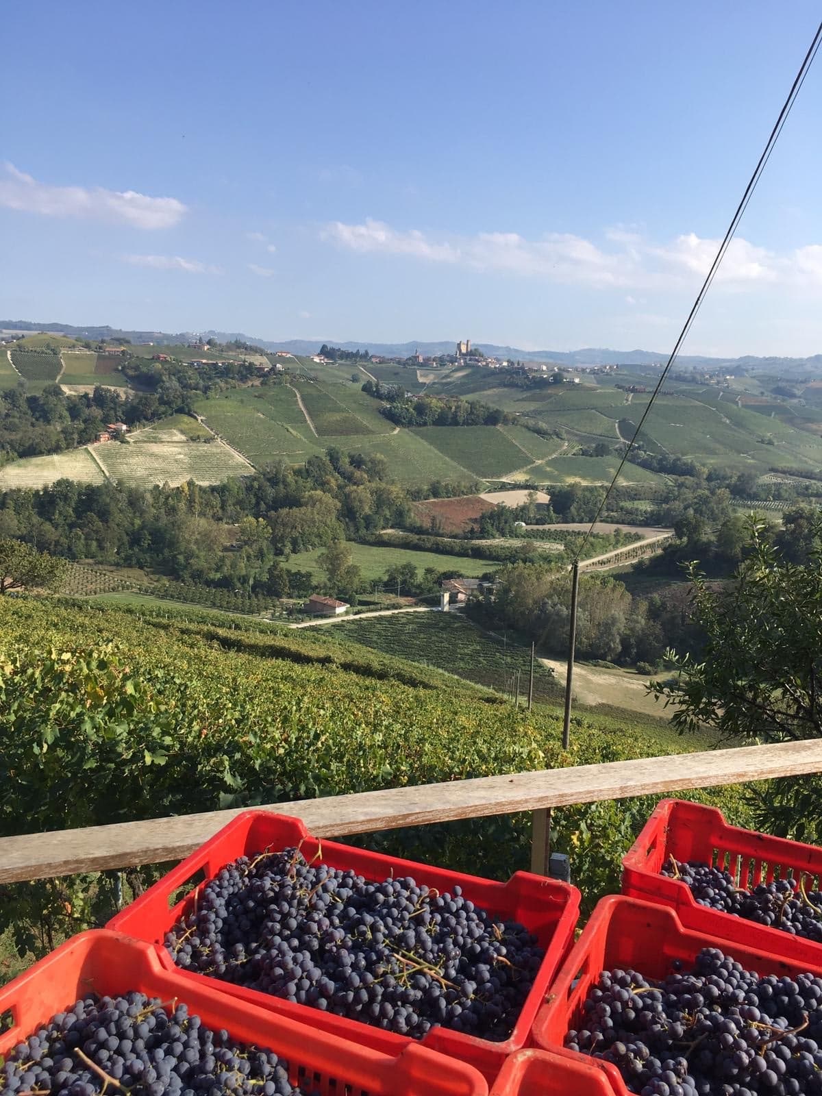 Giacosa Fratelli foto 3