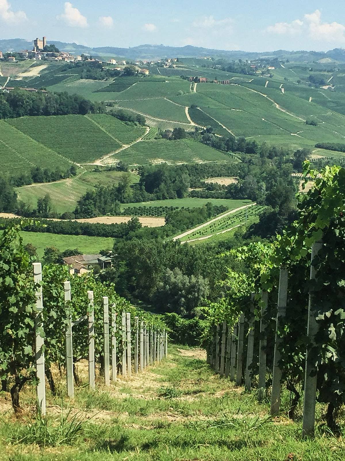 Giacosa Fratelli foto 1