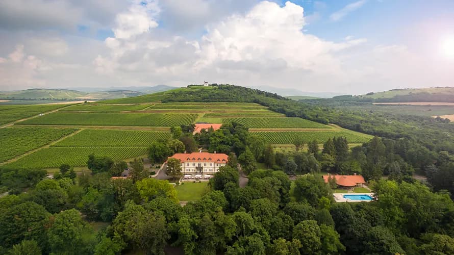 Gróf Degenfeld Wine Estate photo 2