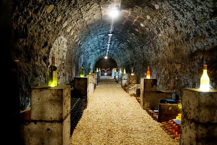 Gróf Degenfeld Wine Estate photo 5