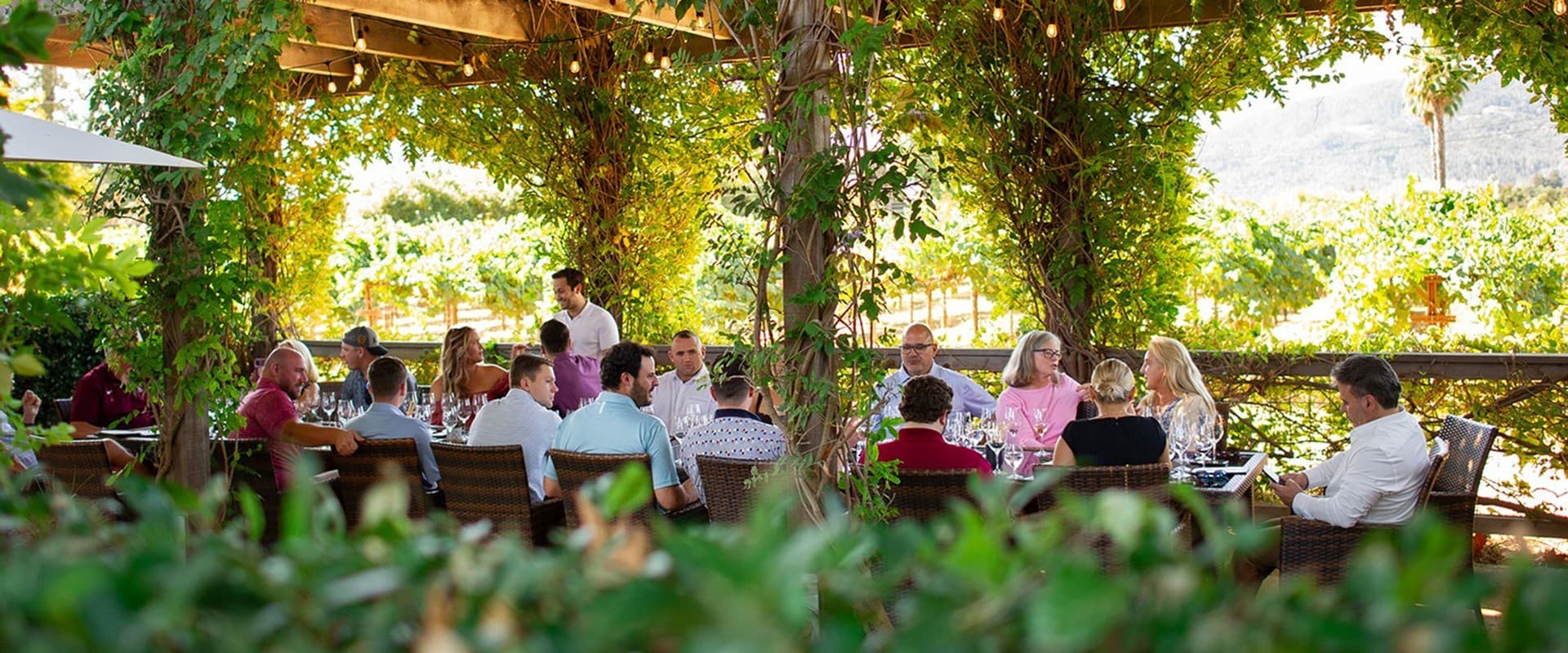 Honig Vineyard and Winery photo 2