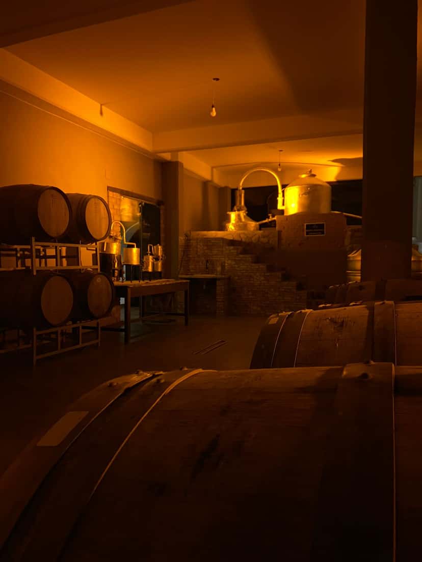 Daroca Vineyards and Winery