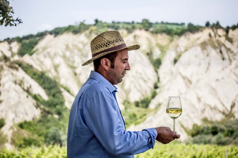 Taste Organic Wines with Local Pickles in Emilia-Romagna