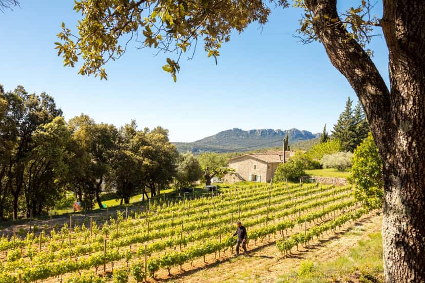 Mas Gourdou Winery