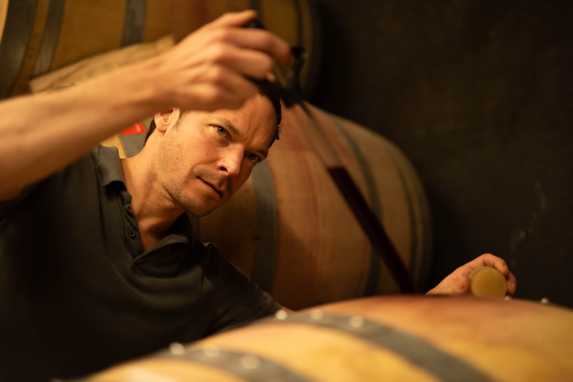 Baden Biodynamic - Från terroir till glas
