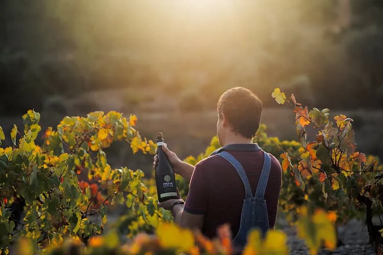 Prior Lucas Wines