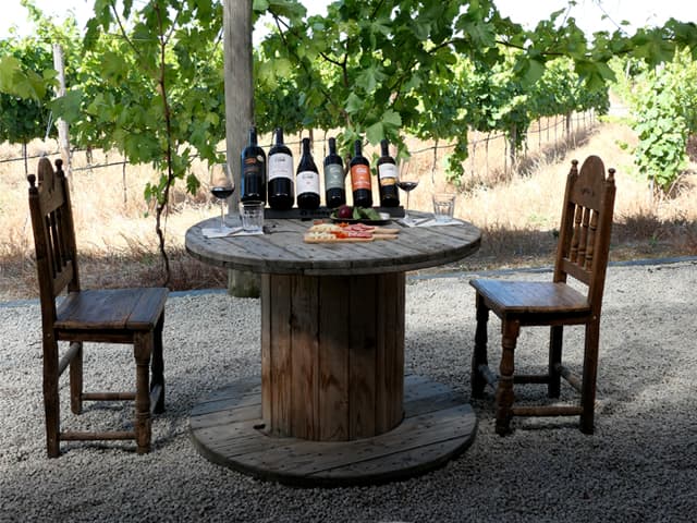 Quinta Do Cume Winery photo 4