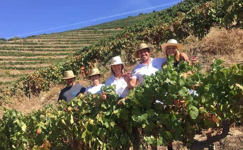 Quinta Do Cume Winery photo 5