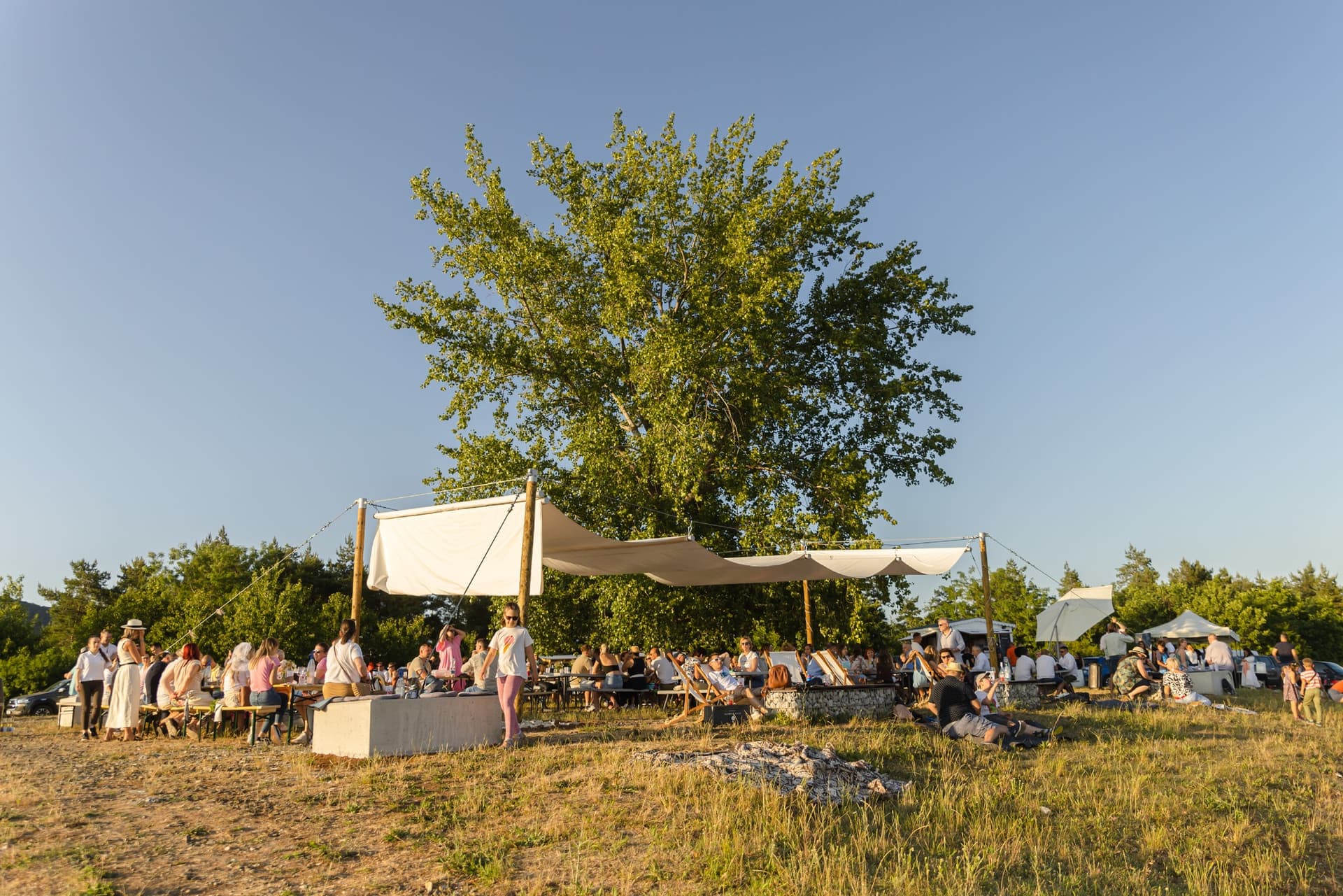 Tóth Ferenc Winery Foto 1