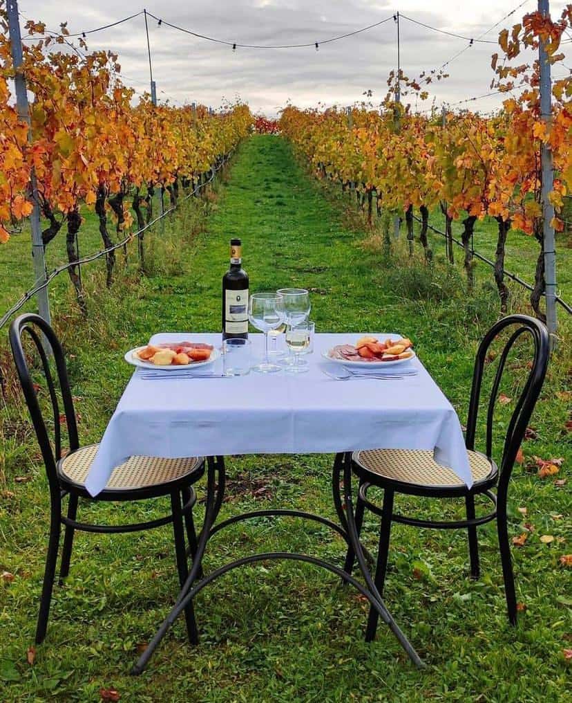 Degustação de vinhos e tour na vinícola Società Agricola Podere…