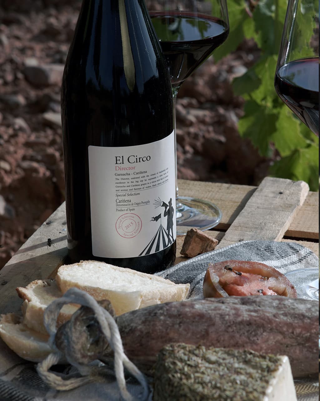 Grandes Vinos Winery Foto 4