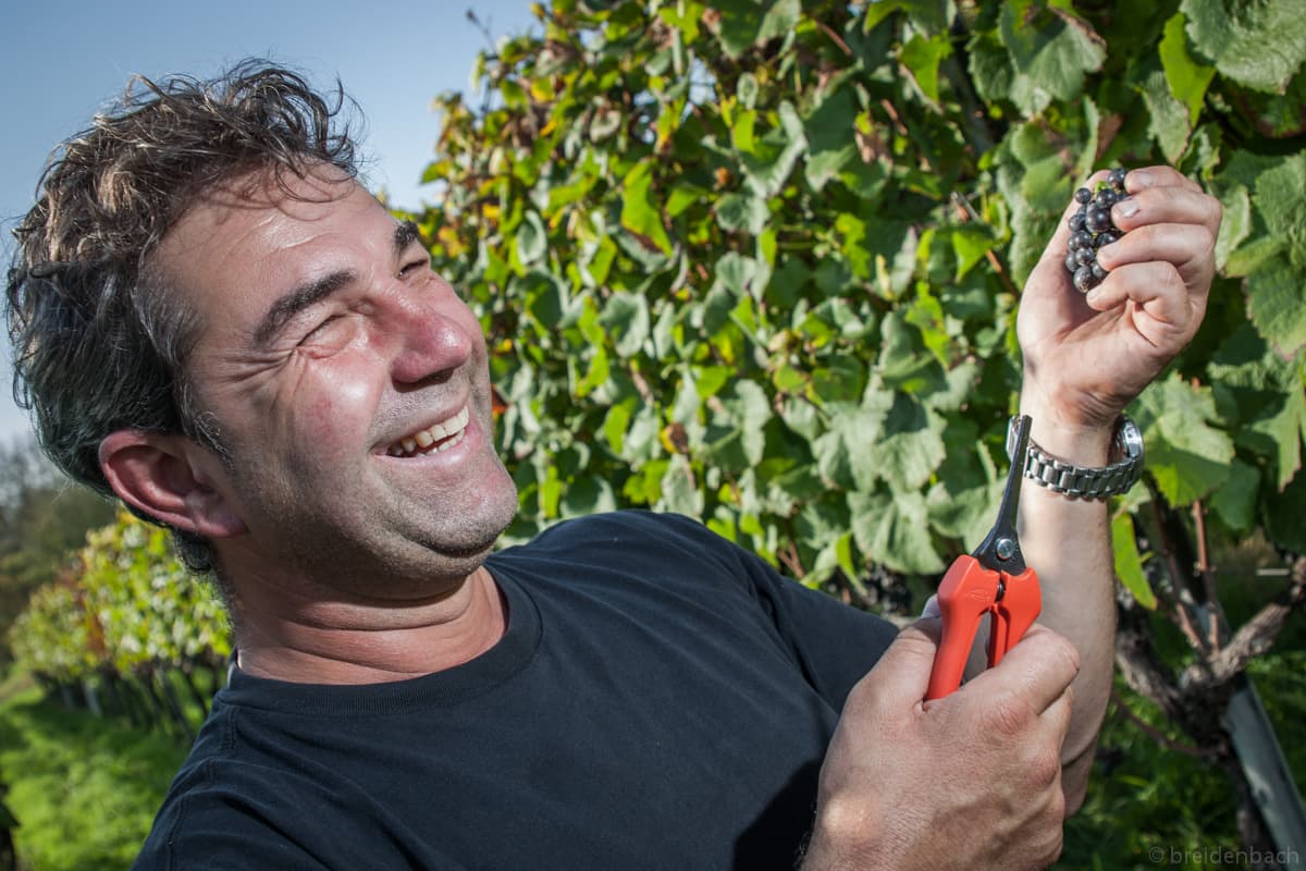 Weinmanufaktur Mario Josef Burkhart foto 2