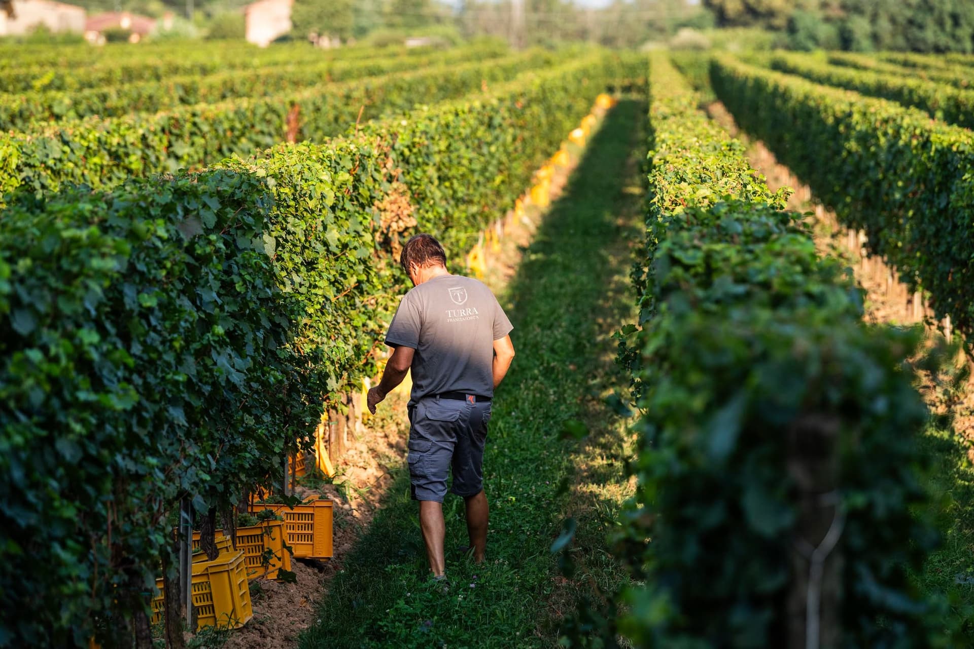 Turra Franciacorta Winery