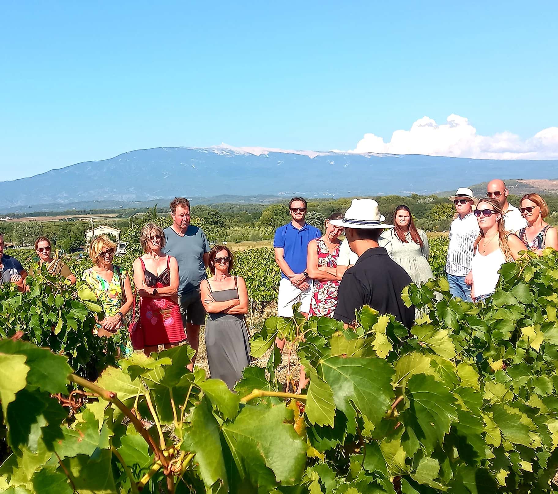 Visit to the wine estate and tasting of organic wines