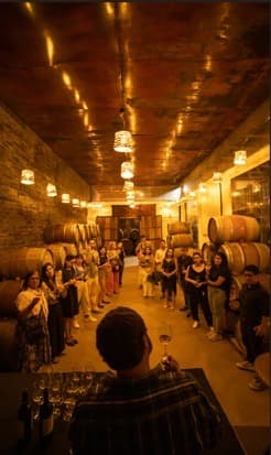 Butrón Budinich Weinbau-Traditionstour