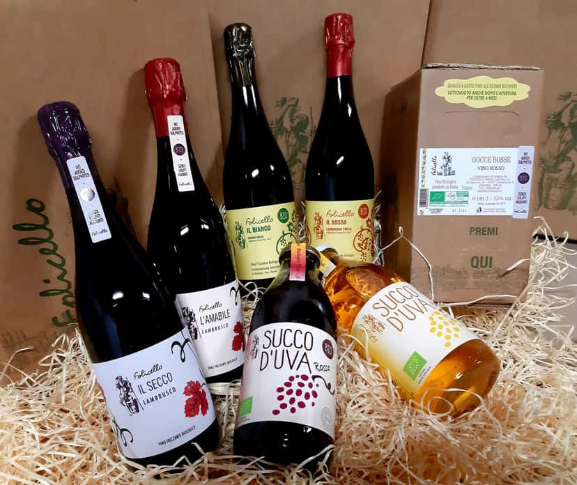 The Folicello Snapshot: An Emilia Wine Tasting