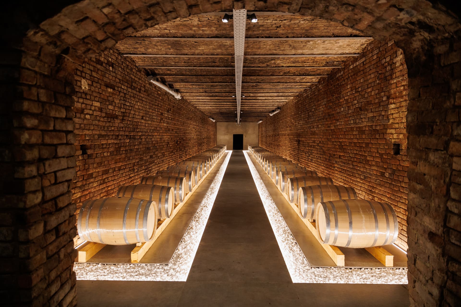 Ruta del vino y cata de vinos