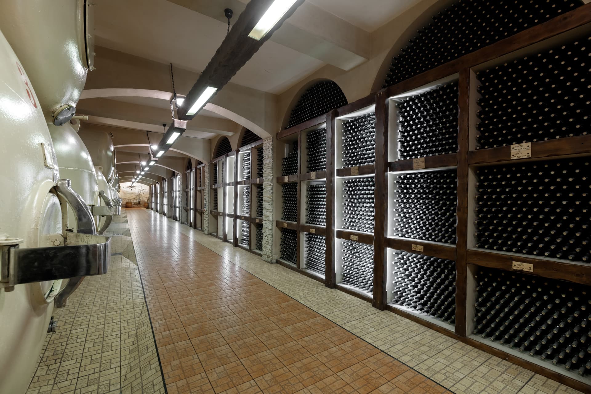 Chateau Cojusna foto 4