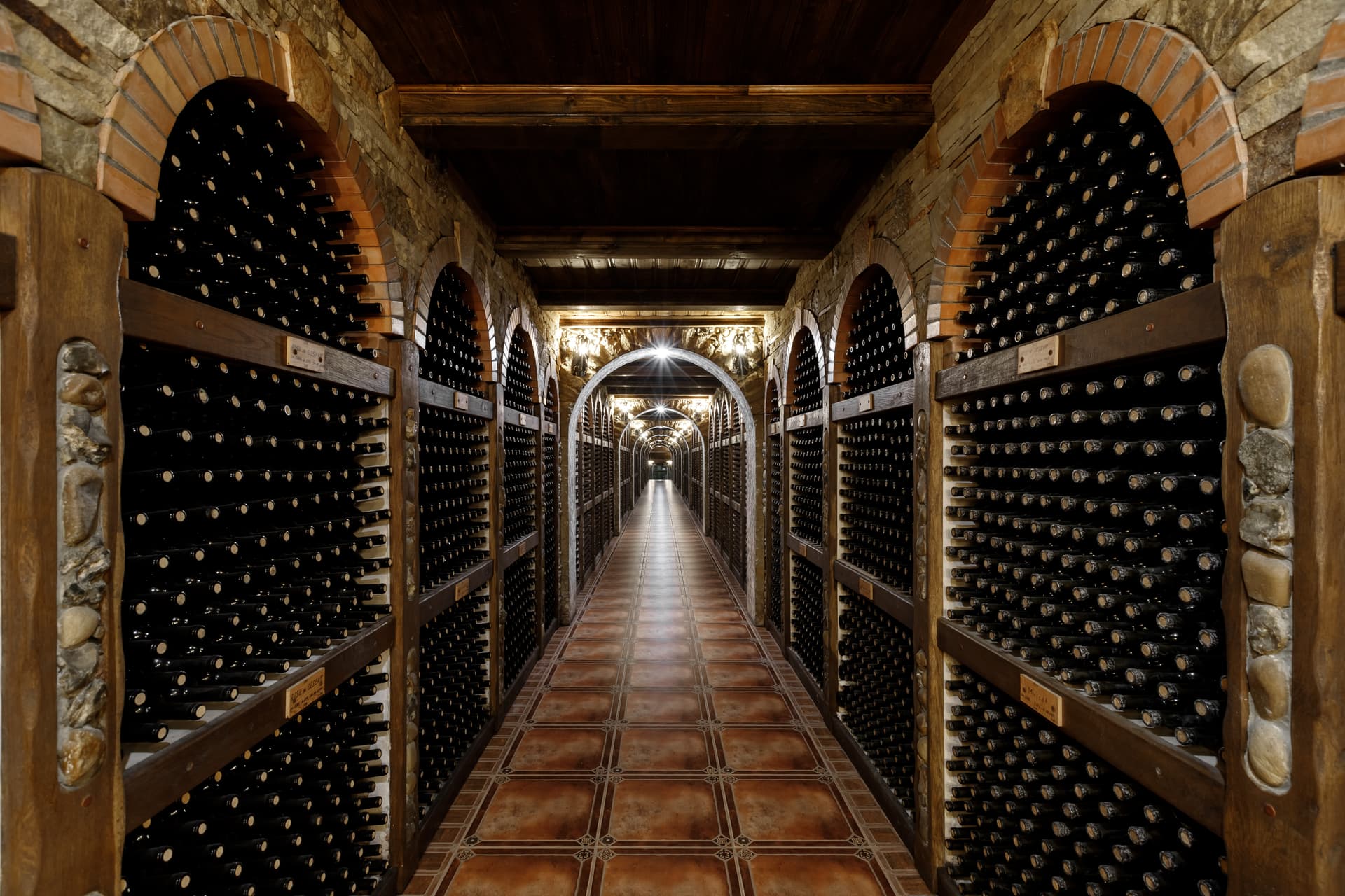 Chateau Cojusna foto 1