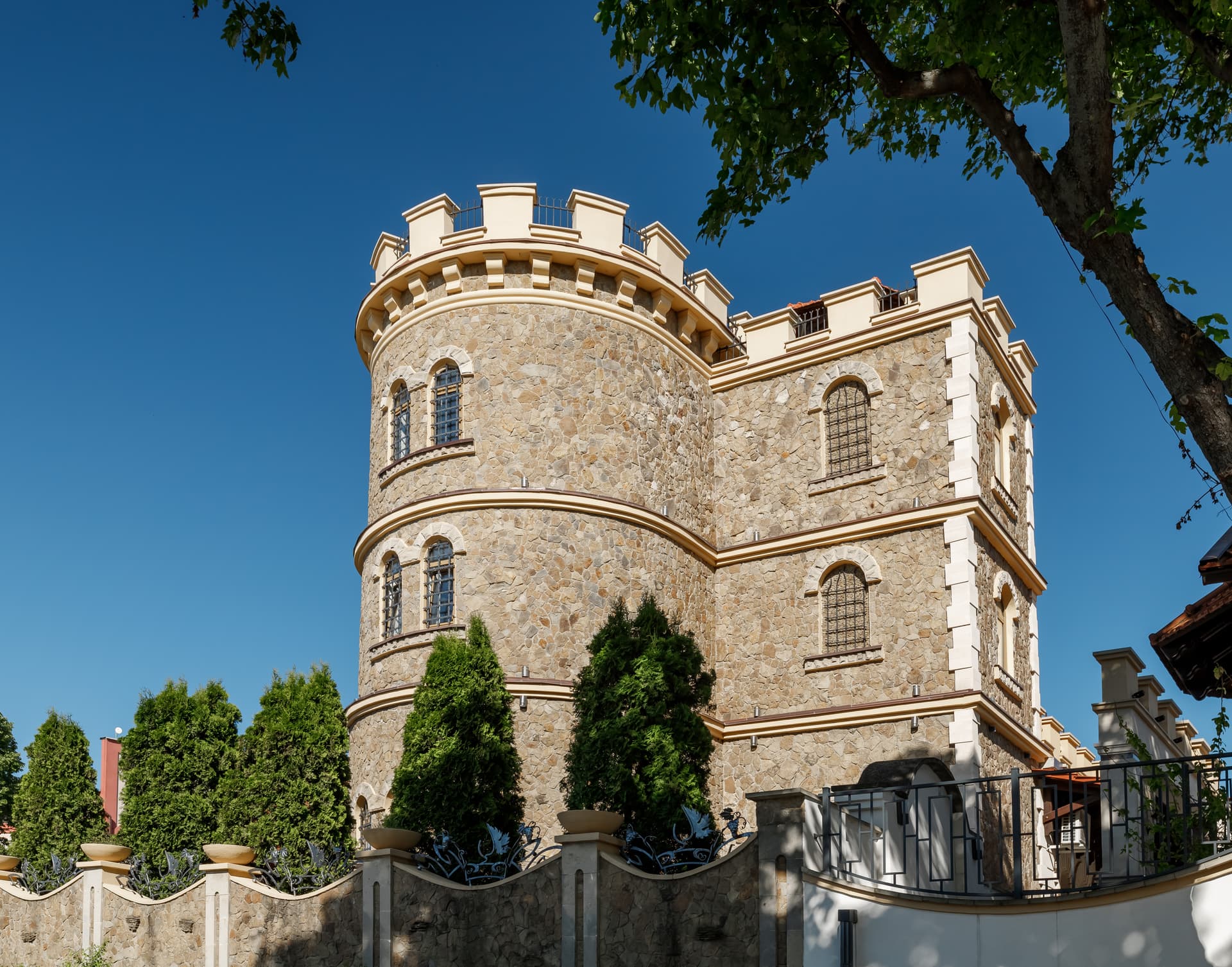 Chateau Cojusna foto 2