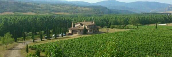Bodegas Juan Carlos Sancha